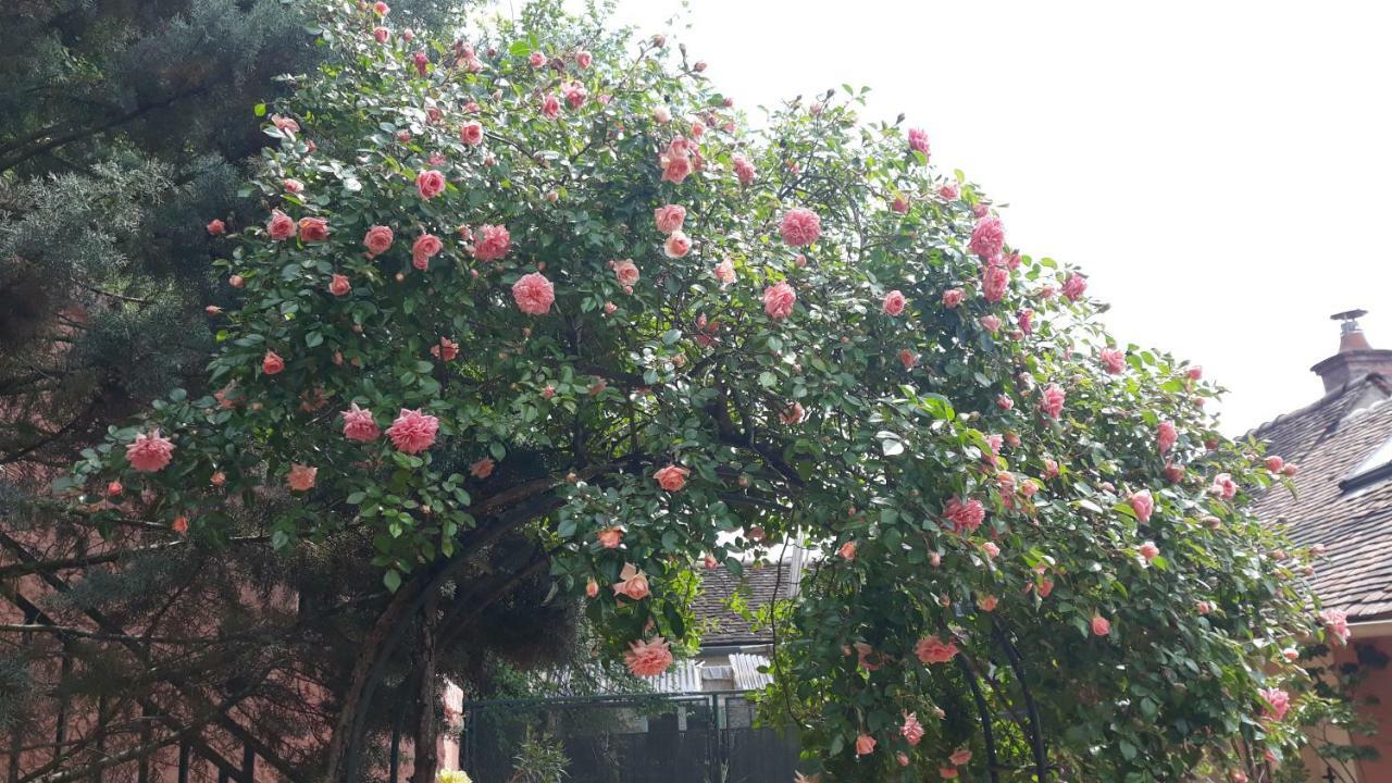 فندق La Maison Rose: Lieu Atypique نمور المظهر الخارجي الصورة